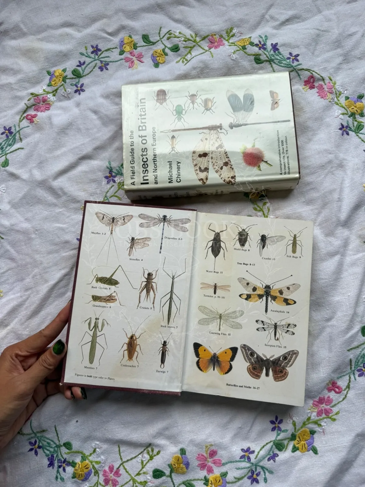 A Field Guide to the Insects of Britain and Northern Europe (No dust jacket)