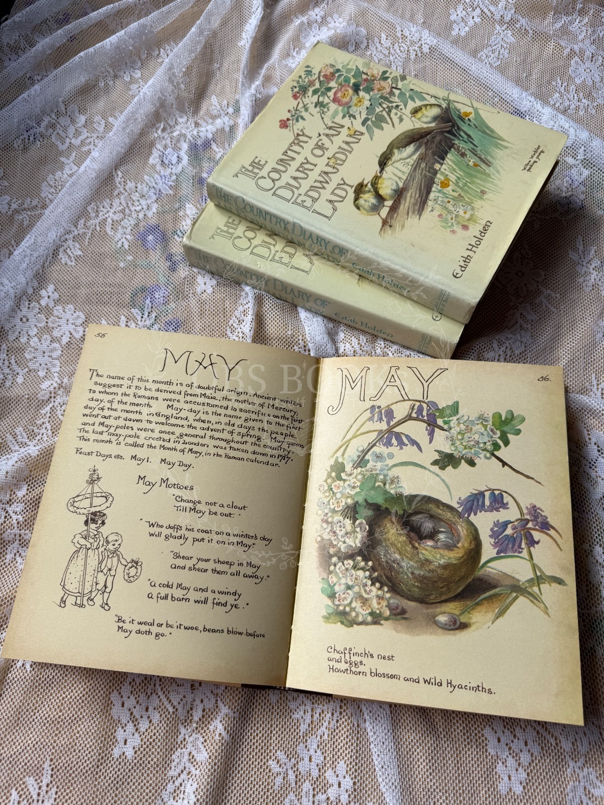The Country Diary of an Edwardian Lady