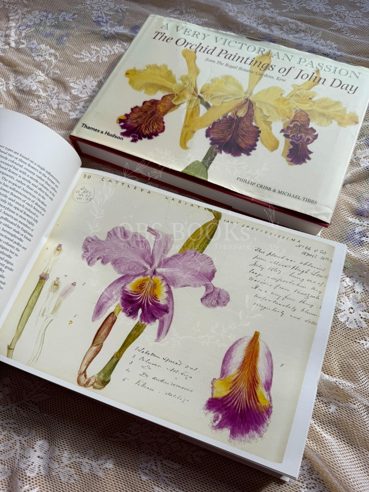A Very Victorian Passion: The Orchid Paintings of John Day, 1863–1888