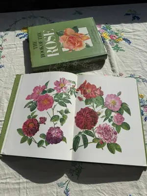 The Book of the Rose