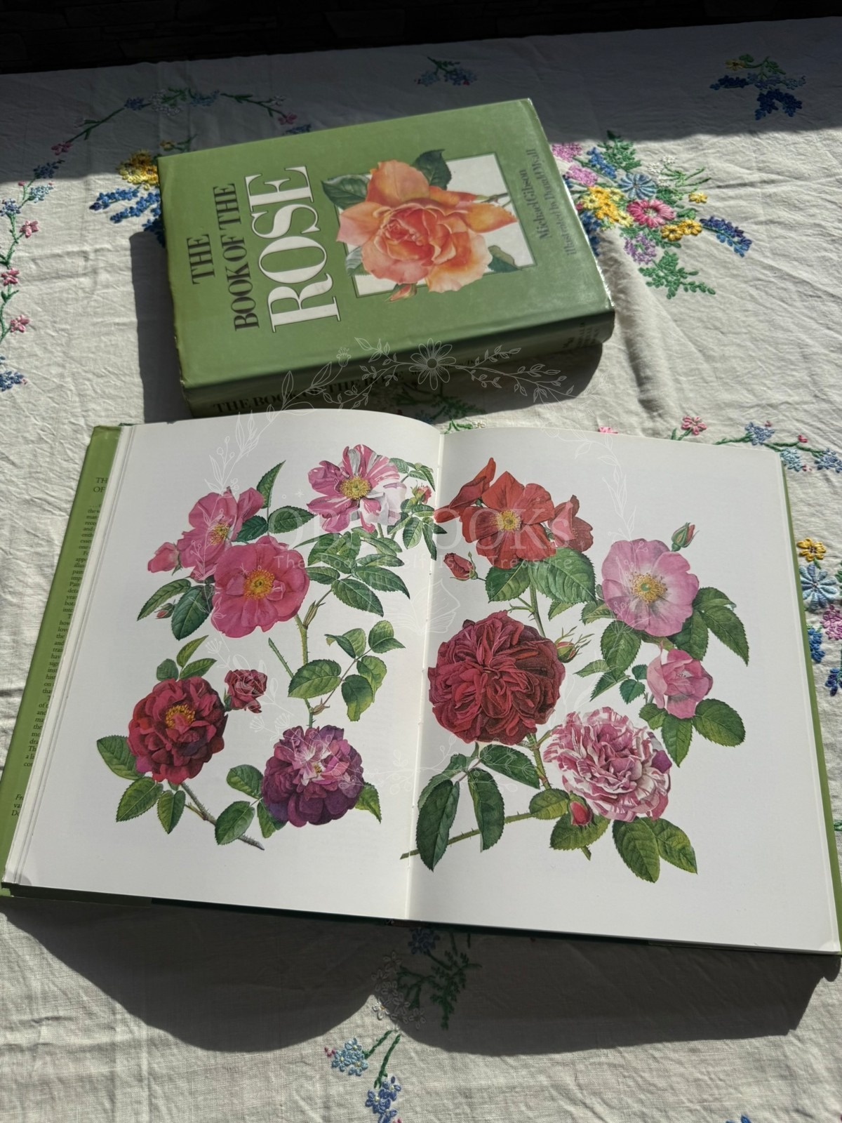 The Book of the Rose
