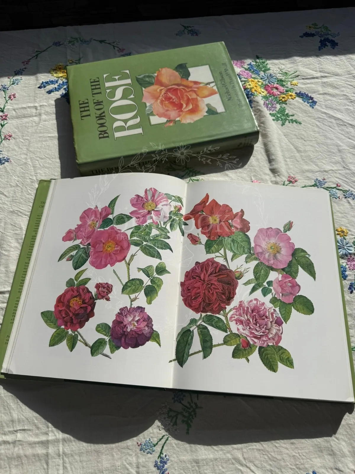 The Book of the Rose