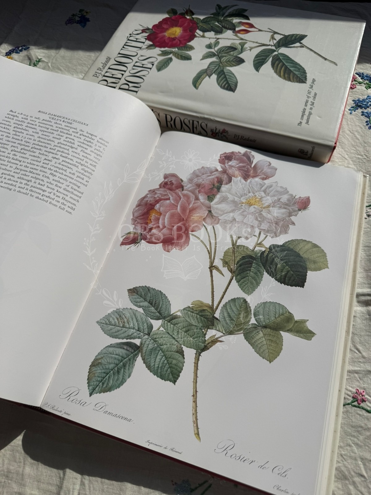 Redoute's Roses
