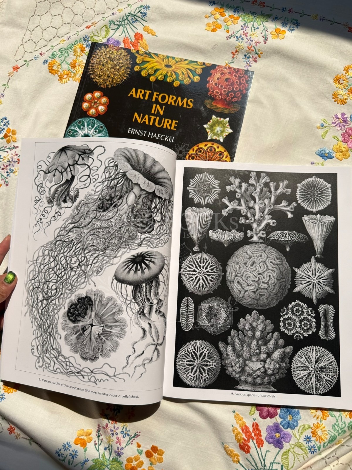 Art Forms in Nature