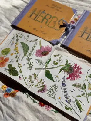 Herbs: Delectables for All Seasons