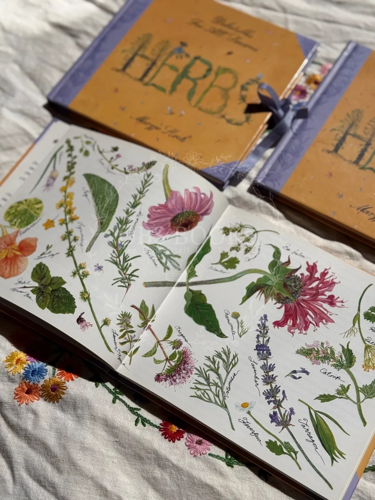 Herbs: Delectables for All Seasons