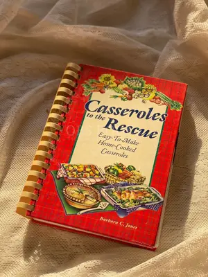 Casseroles to the Rescue: Easy-To-Make Home-Cooked Casseroles