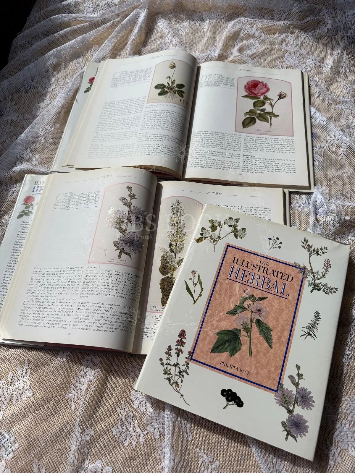 The Illustrated Herbal