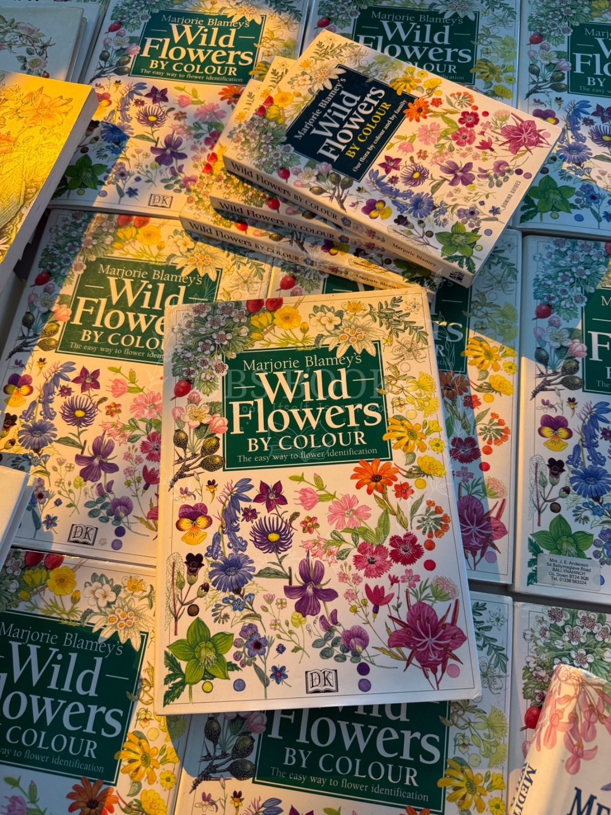 Marjorie Blamey's Wild Flowers by Colour เล่มใหญ่