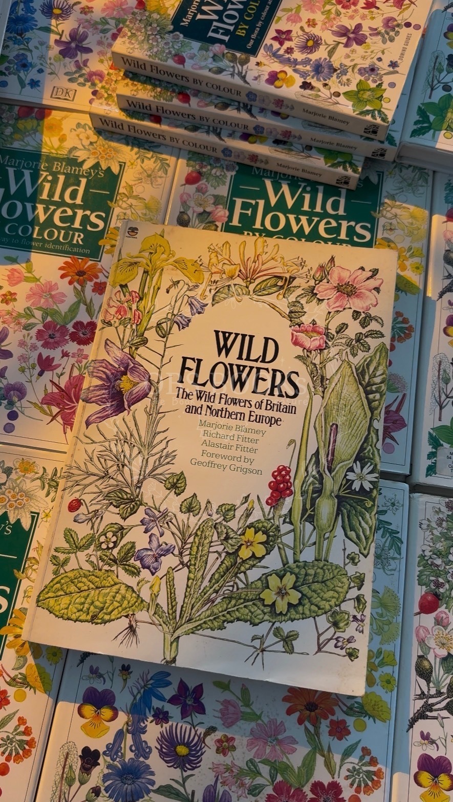 Wild Flowers: The Wild Flowers of Britain and Northern Europe