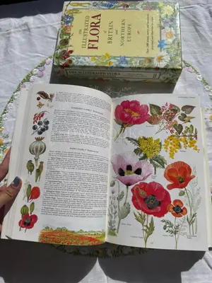 The Illustrated Flora of Britain and Northern Europe
