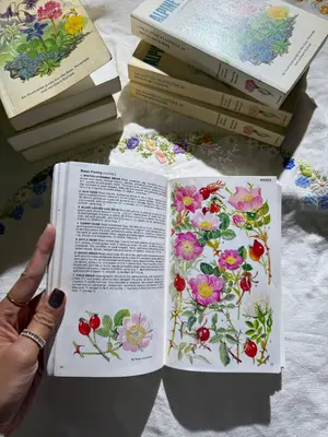 Alpine Flowers: Of Britain and Europe (Collins Pocket Guide)