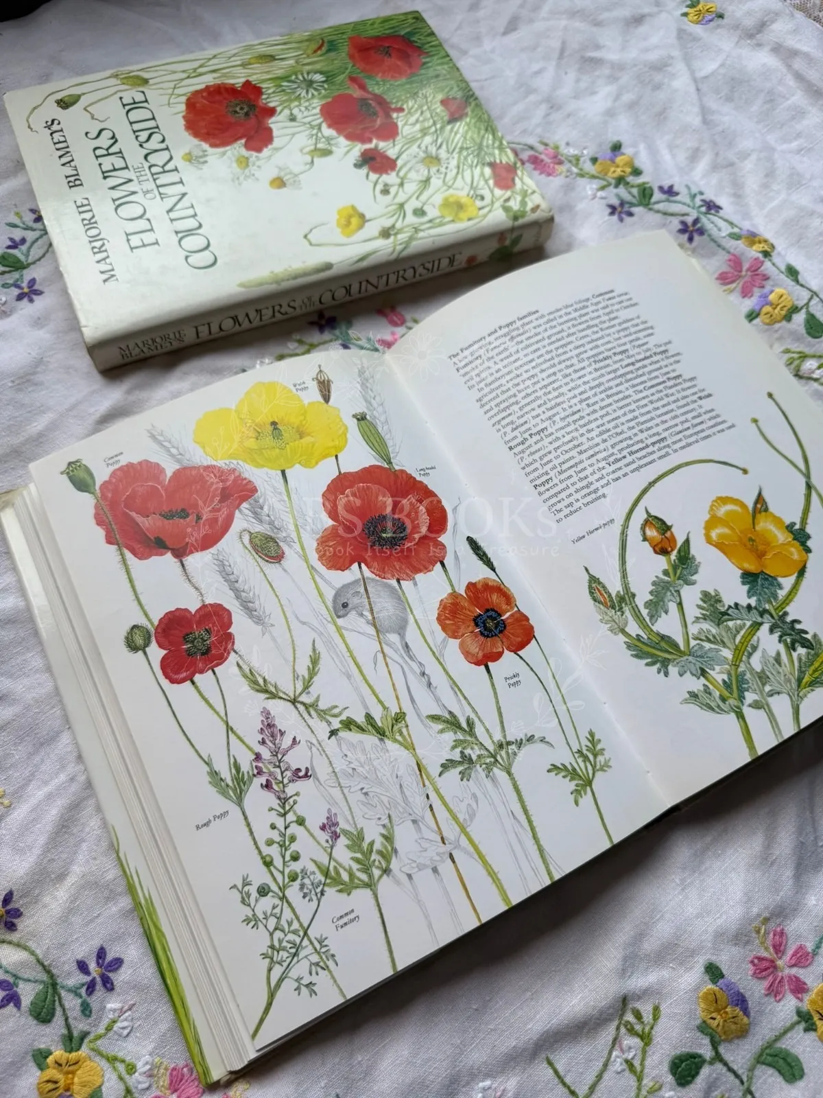 Marjorie Blamey's Flowers of the Countryside
