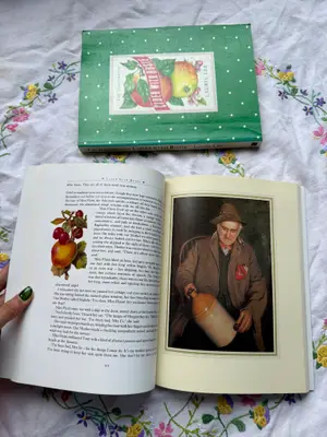 The Illustrated Cider with Rosie