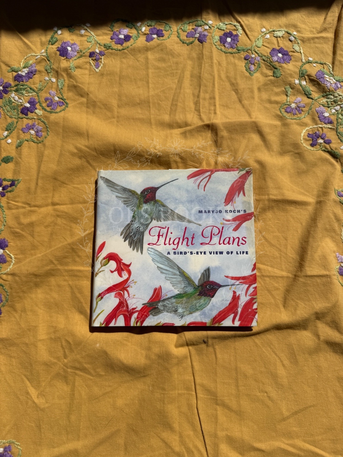 Flight Plans: A Bird's Eye View of Life