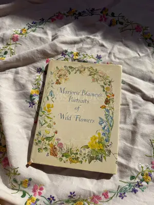Marjorie Blamey's Portraits of Wild Flowers