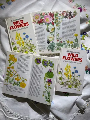 A Handguide to the Wild Flowers of Britain and Northern Europe