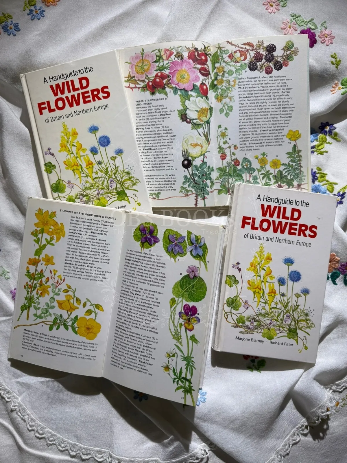 A Handguide to the Wild Flowers of Britain and Northern Europe