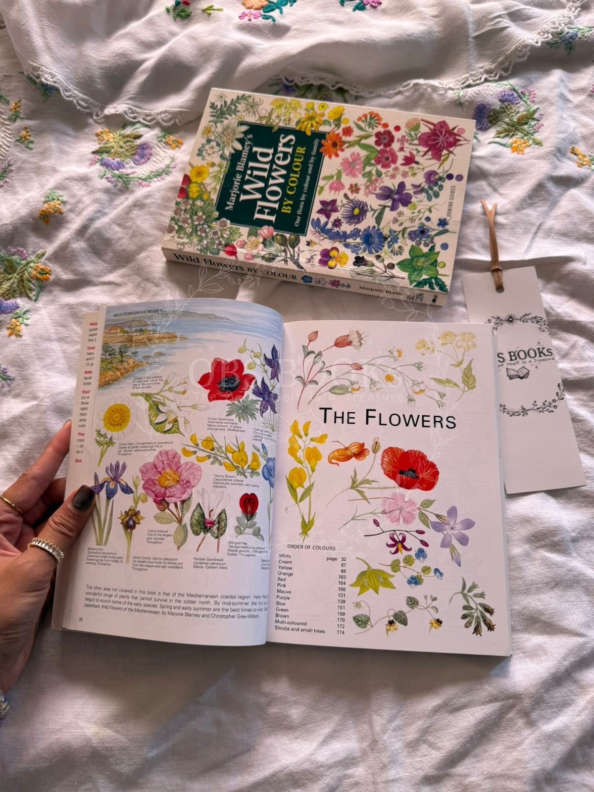 Marjorie Blamey's Wild Flowers by Colour (Small)
